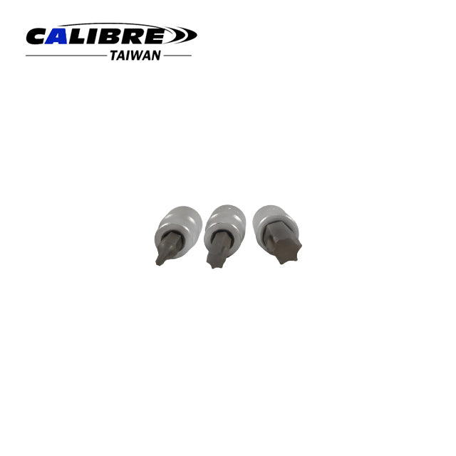 Socket Torx Bit Set