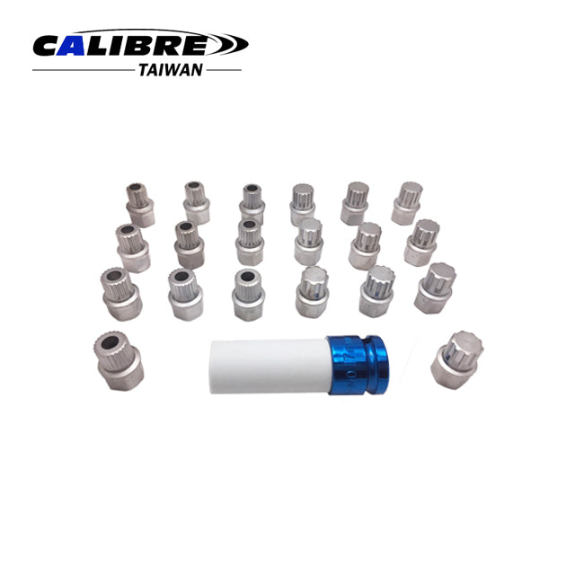 21pcs BMW Wheel Lock Screw Socket Set