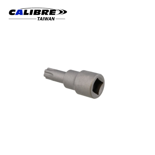 TORX Plus Socket