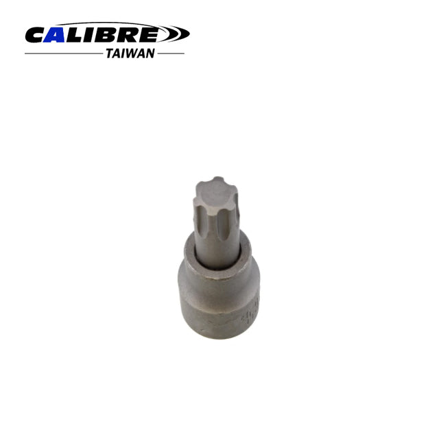 TORX Plus Socket