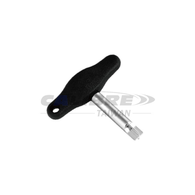 Screwdriver for Battery Screw Plug