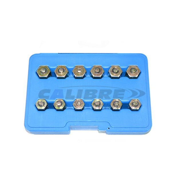 Diesel Injector Lock Nut Set