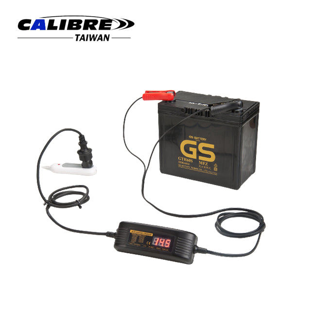 Vehicle Battery Charger